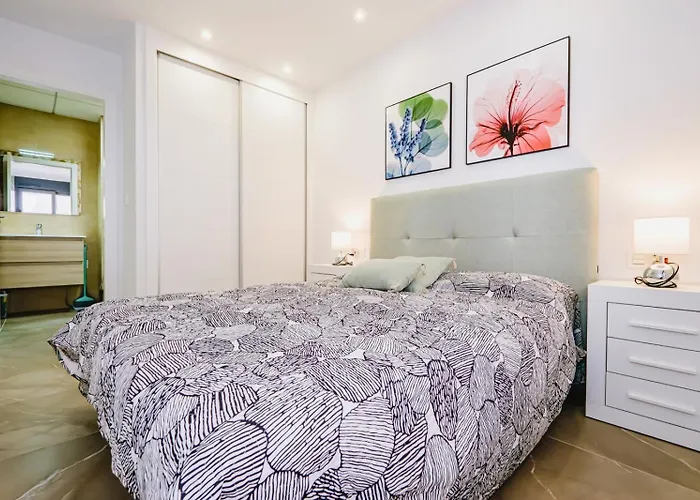 Alegria Id 11 Torrevieja